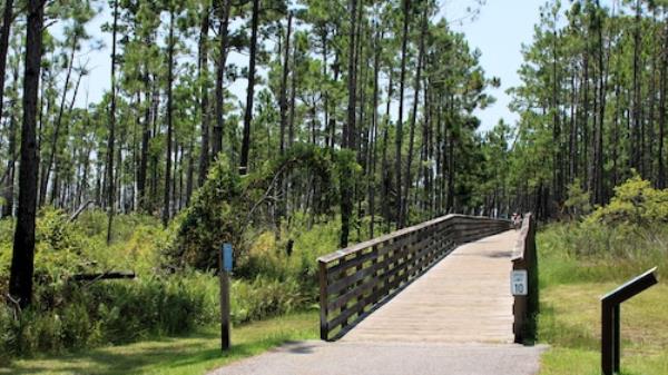 Gulf State Park July 21, 2023