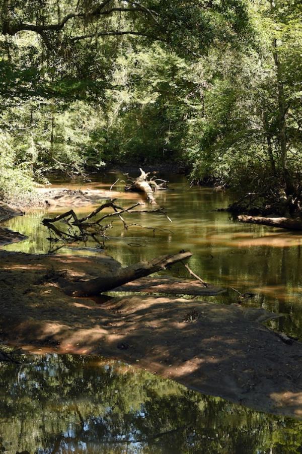Blue Springs State Park