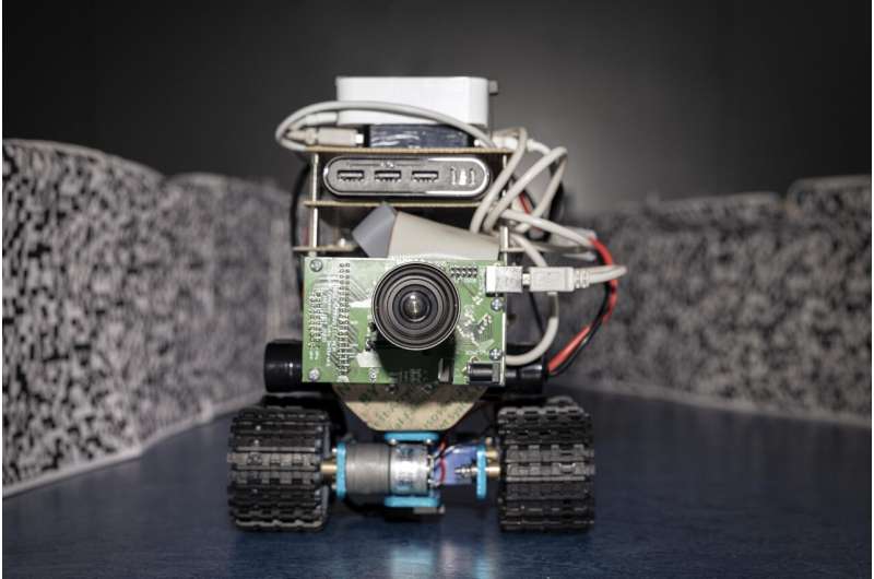 Darting around with a tiny brain