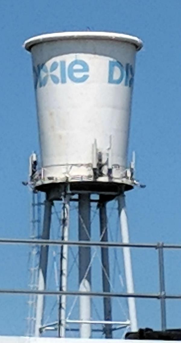 World's Largest Dixie Cup