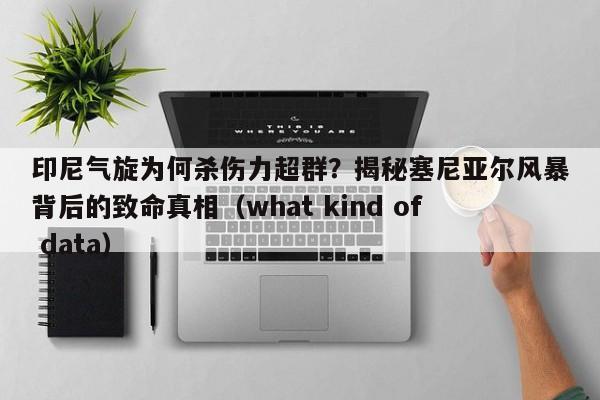 印尼气旋为何杀伤力超群?揭秘塞尼亚尔风暴背后的致命真相(what kind of data)
