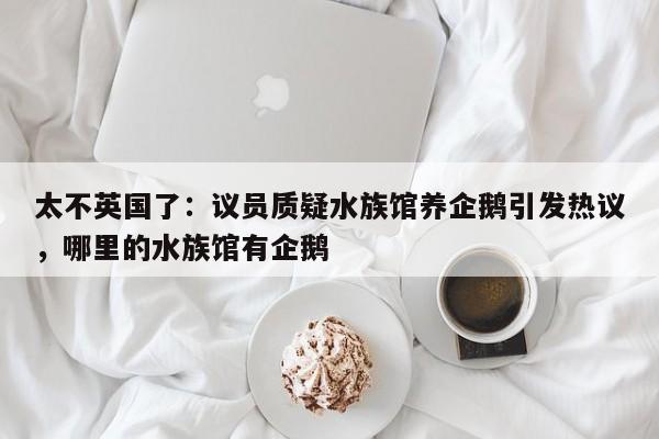 太不英国了:议员质疑水族馆养企鹅引发热议,哪里的水族馆有企鹅