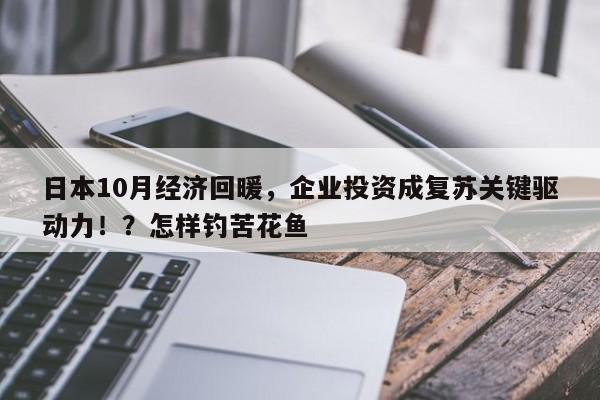 日本10月经济回暖,企业投资成复苏关键驱动力!?怎样钓苦花鱼