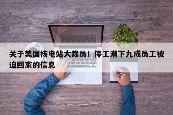关于美国核电站大裁员!停工潮下九成员工被迫回家的信息