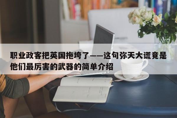 职业政客把英国拖垮了——这句弥天大谎竟是他们最厉害的武器的简单介绍