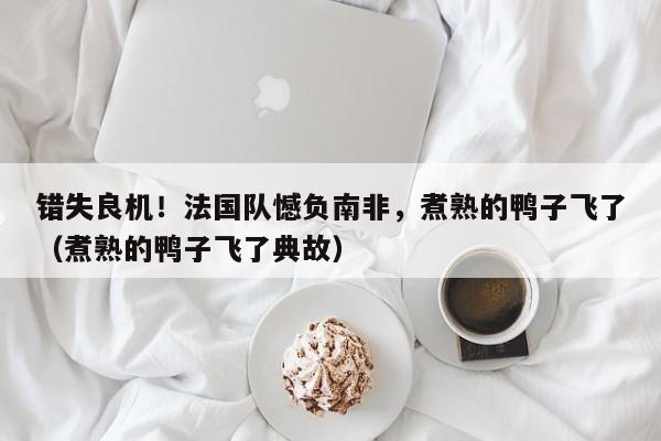 错失良机!法国队憾负南非,煮熟的鸭子飞了(煮熟的鸭子飞了典故)