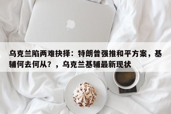 乌克兰陷两难抉择:特朗普强推和平方案,基辅何去何从?,乌克兰基辅最新现状