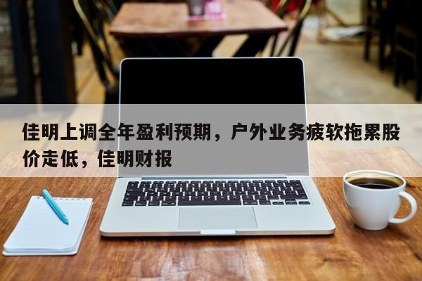 佳明上调全年盈利预期,户外业务疲软拖累股价走低,佳明财报