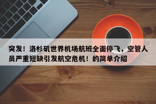 突发!洛杉矶世界机场航班全面停飞,空管人员严重短缺引发航空危机!的简单介绍