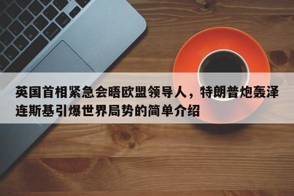 英国首相紧急会晤欧盟领导人,特朗普炮轰泽连斯基引爆世界局势的简单介绍