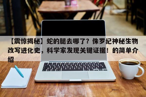 【震惊揭秘】蛇的腿去哪了?侏罗纪神秘生物改写进化史,科学家发现关键证据!的简单介绍