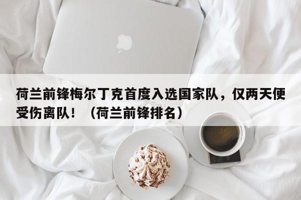 荷兰前锋梅尔丁克首度入选国家队,仅两天便受伤离队!(荷兰前锋排名)