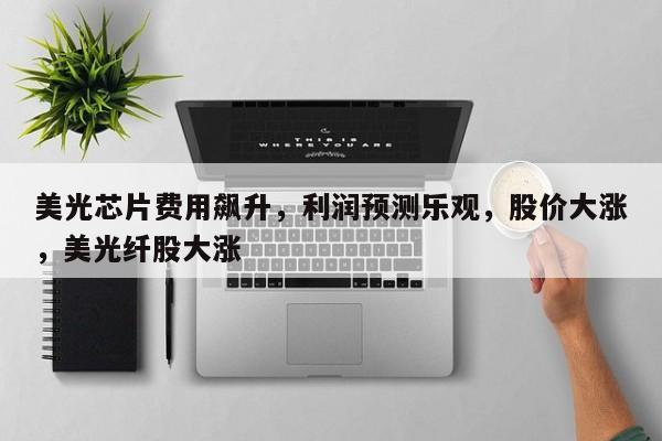 美光芯片费用飙升,利润预测乐观,股价大涨,美光纤股大涨