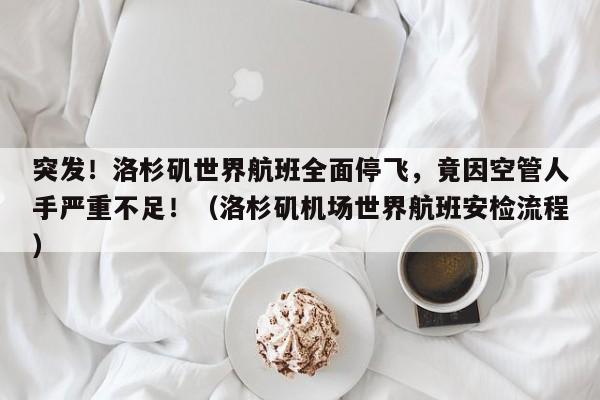 突发!洛杉矶世界航班全面停飞,竟因空管人手严重不足!(洛杉矶机场世界航班安检流程)