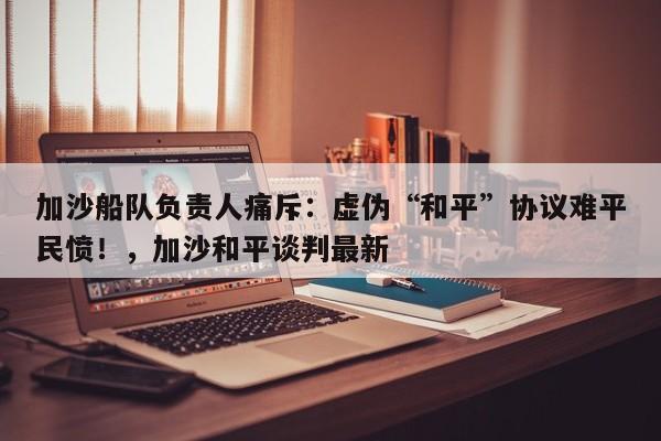 加沙船队负责人痛斥:虚伪“和平”协议难平民愤!,加沙和平谈判最新