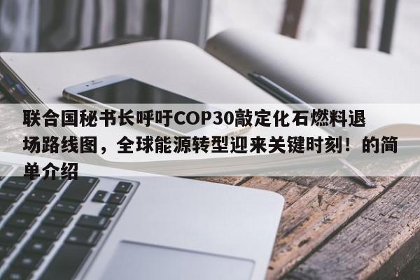联合国秘书长呼吁COP30敲定化石燃料退场路线图,全球能源转型迎来关键时刻!的简单介绍