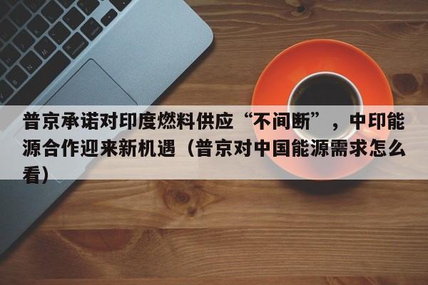 普京承诺对印度燃料供应“不间断”,中印能源合作迎来新机遇(普京对中国能源需求怎么看)