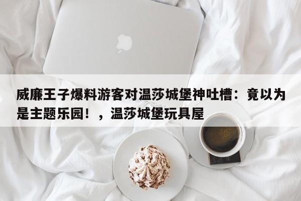 威廉王子爆料游客对温莎城堡神吐槽:竟以为是主题乐园!,温莎城堡玩具屋