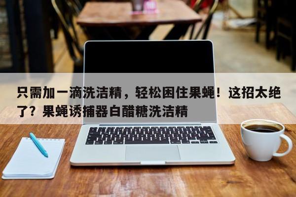 只需加一滴洗洁精,轻松困住果蝇!这招太绝了?果蝇诱捕器白醋糖洗洁精