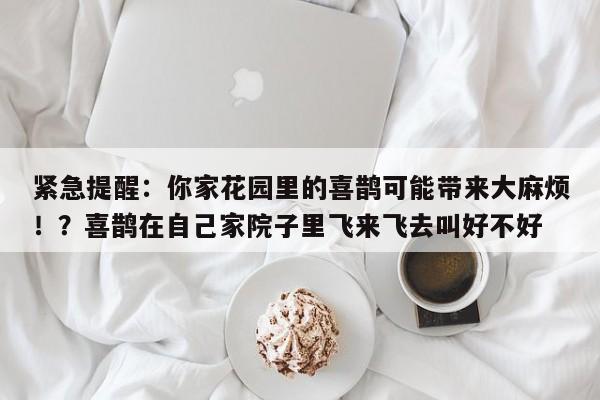 紧急提醒:你家花园里的喜鹊可能带来大麻烦!?喜鹊在自己家院子里飞来飞去叫好不好