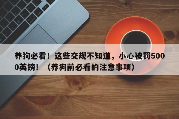 养狗必看!这些交规不知道,小心被罚5000英镑!(养狗前必看的注意事项)