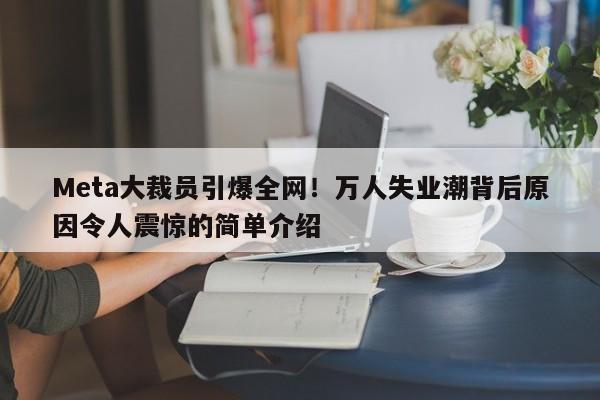 Meta大裁员引爆全网!万人失业潮背后原因令人震惊的简单介绍